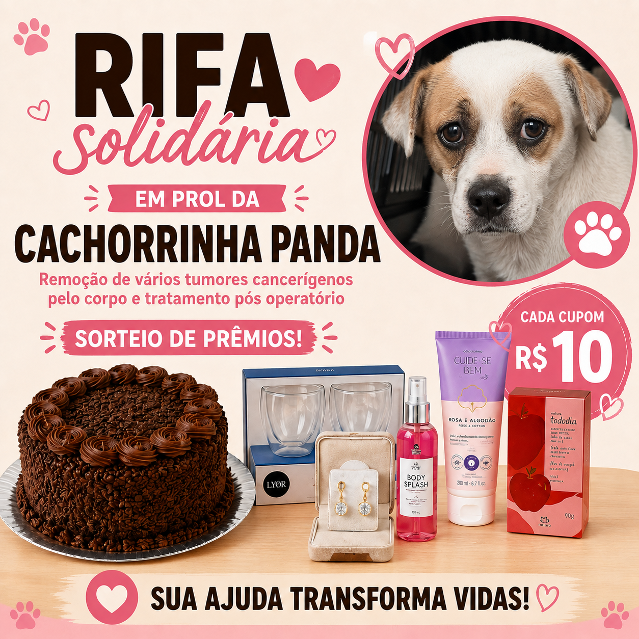 Imagem de capa do sorteio Rifa de agosto 2026 - Panda